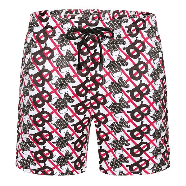

luxurious mens luxury designer clothes printing luxurious shorts mens designer tracksuits mens designer summer casual shorts pants, Blue
