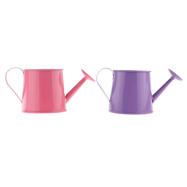 

2x pastoral style colorful tin flower pot mini bonsai watering can pot