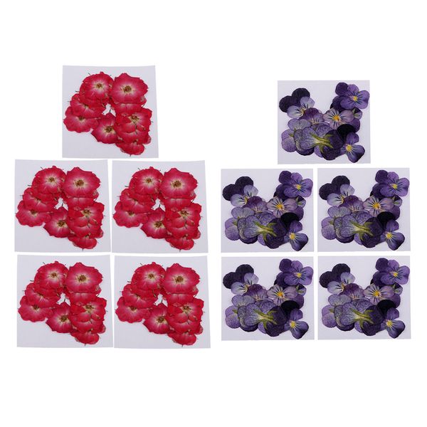 

20 pcs dried pressed flowers for diy scrapbooking crafts
