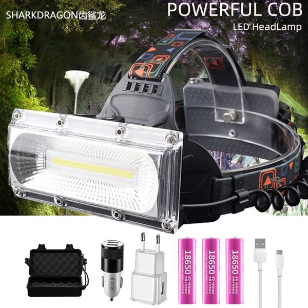 

headlamps super bright cob led headlights floodlight working lamp usb rechargeable waterproof headlamp 18650 battery fishing lighting