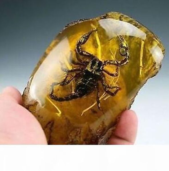 

oriental vintage handwork natural amber scorpion statue, Black