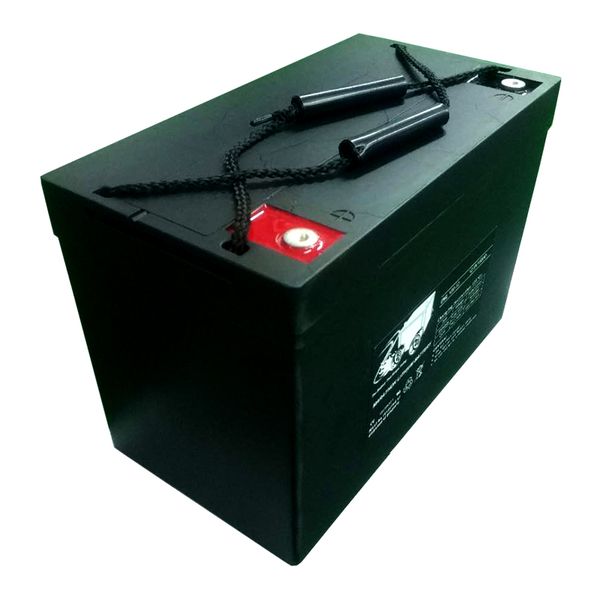 

12.8v lifepo4 eve lf50 battery pack w. case bms 4s2p 12v 100ah