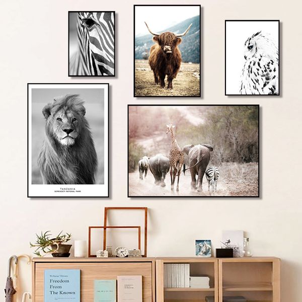

lion zebra elephant cow nordic animal posters and prints wall art canvas painting decorative pictures for living room home decor
