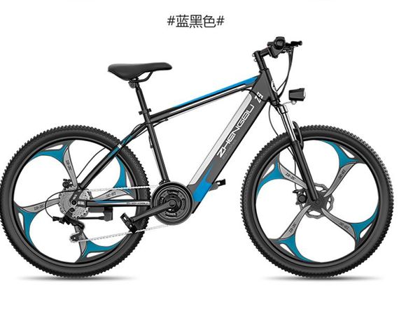 

2020 positive step new electric mountain bike national standard bicycle male and female students transport assist small battery bicycle 48v, Silver;blue