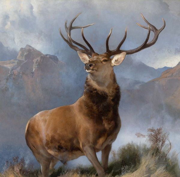 

edwin henry landseer the monarch of the glen home decor handcrafts /hd print oil painting on canvas wall art canvas pictures 200721