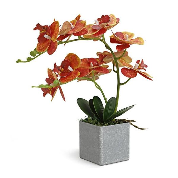 

indigo- (1set ) orchid arrangment real with vase touch bonsai wedding party flower decoration centerpiece ing