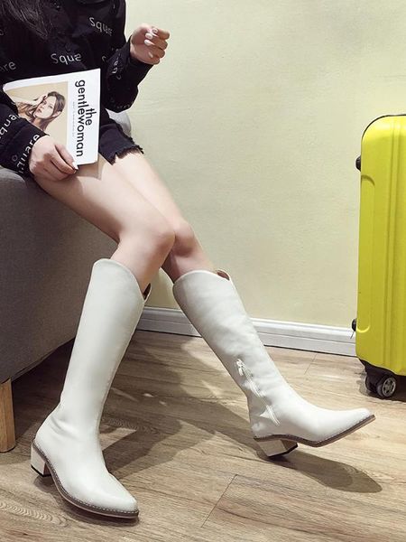 

women's shoes boots 2020 autumn new pointed toe thick heel fashionable casual zipper long boots, Black