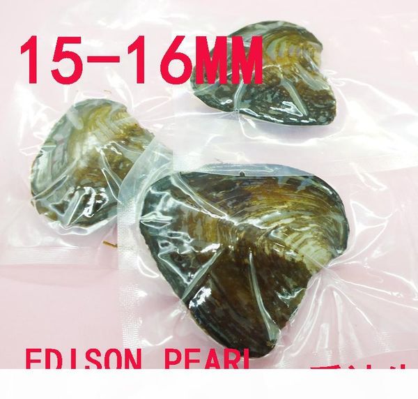 

оптовая 3шт много монстр устрицы 15-16mm вакуумной упаковки edison pearl oyster, имеют одну edison pearl в каждой oyster, White