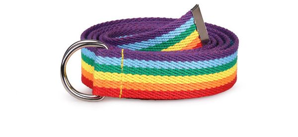 

designer belts new trendy rainbow colors exquisite waist belt for women lady pretty canvas thin skinny waist belt dress accessory, Black;brown