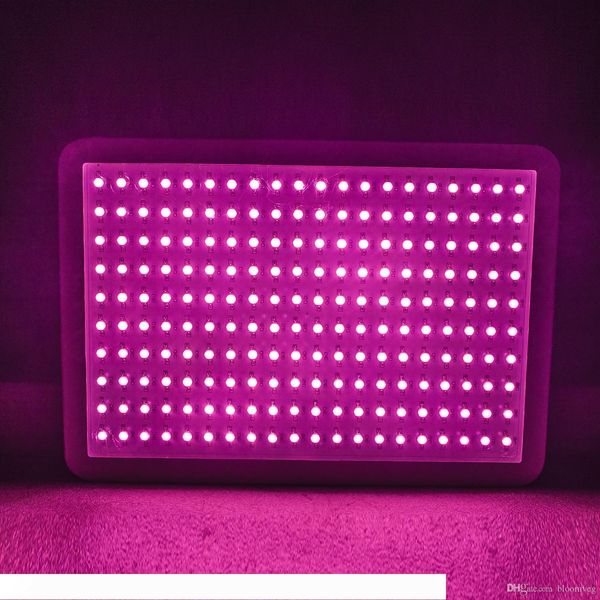 

Led Grow Light 2000W 1500W 1200W 1000W Full Spectrum Led Grow Tent Covered Green houses Lamp Plant Grow Lamp for Veg Flowering