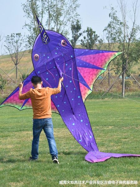 

workmanship high-end strong kite and fish super kite fine super large fish large