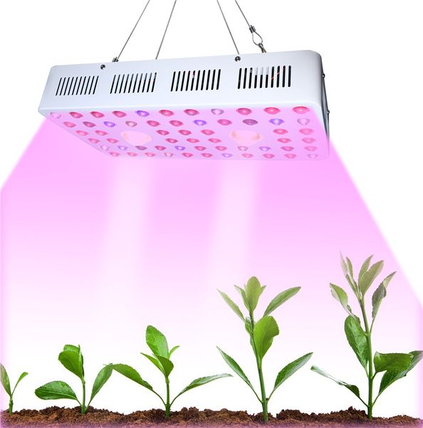 Lente ottica di design COB2000 Luci a spettro completo Doppio chip High PPFD 2000W COB Led Grow Light per piante da interno