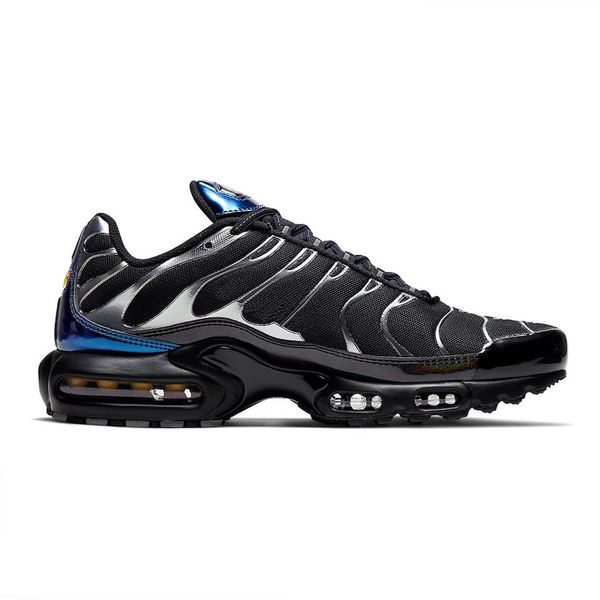 tn plus trainers