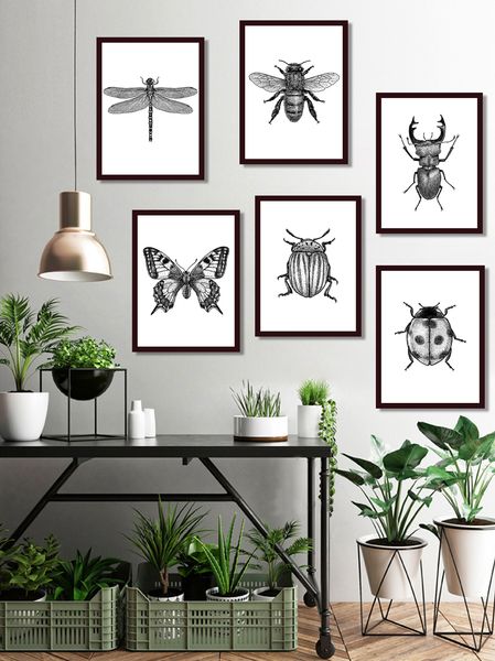

insect illustration black and white wall art canvas painting hand drawn bugs insect posters and prints wall pictures home decor