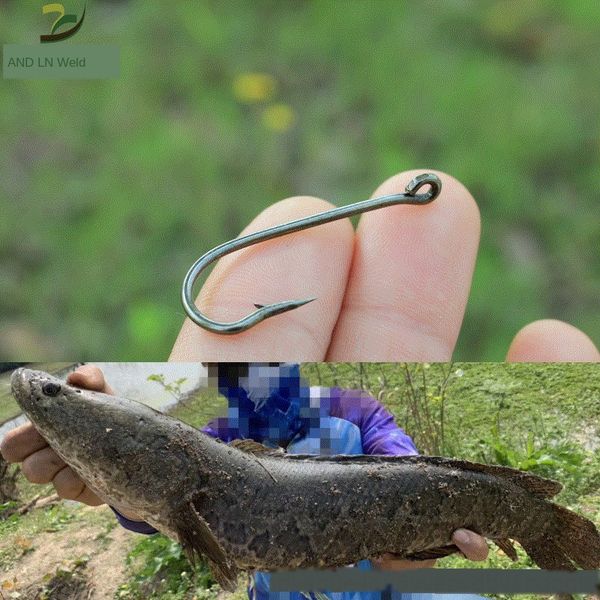 

traditional traditional big ing black special hook black fish treasure fish hook hanging live bait fishing big