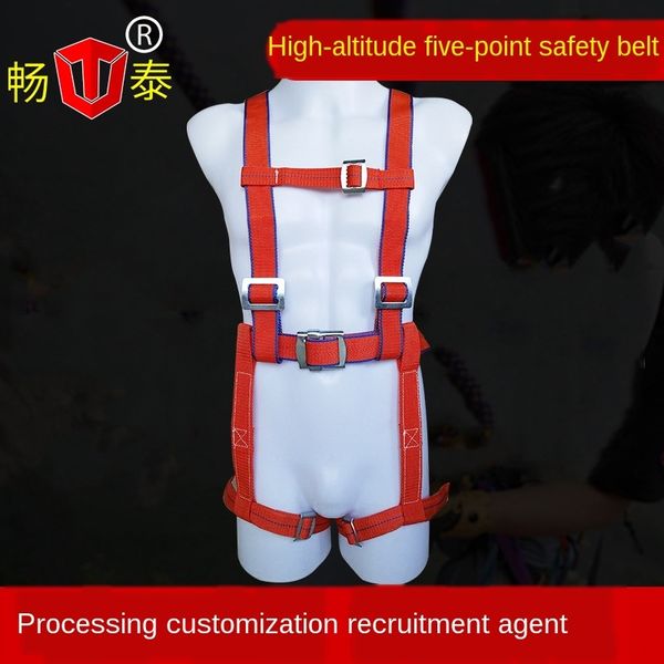 

двойной крюк пятибалльной весь двойной крючок пятибалльной безопасности работая работы конструкции кузова ремня безопасности высотный работа