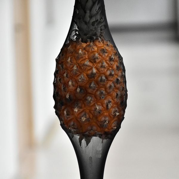 

pineapple socks silk pineapple silk stockings internet popular ultra-thin anti-hook wire socks leggings stockings, Black;white