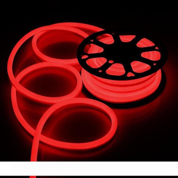 

25M Roll AC110 AC220V SMD2835 LED Neon Flex Strip Light 6W LED Neon Rope Light 120LEDS Beer Rope LED Neon Light 1roll lot
