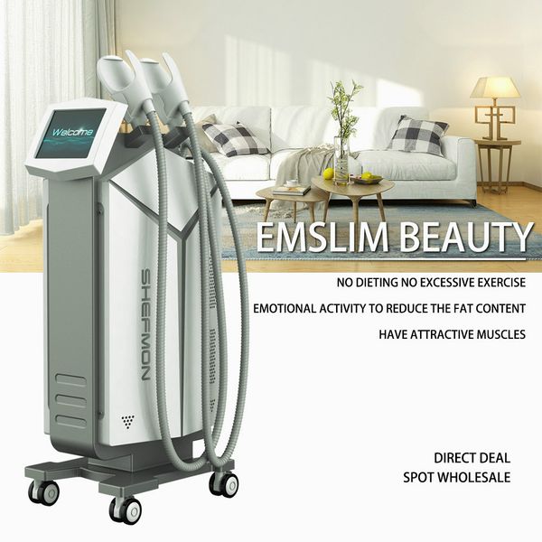 

high technology 7 tesla high intensity focused electromagnetic emsculpt machine woman after pregnant dhl ing