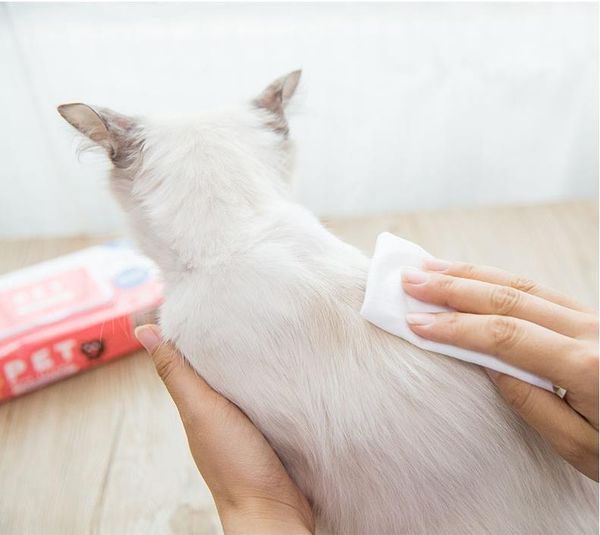 

pet dogs cat disposable wet towel wet tissue wipes cleaning napkin stain remover towelette pet wipes products