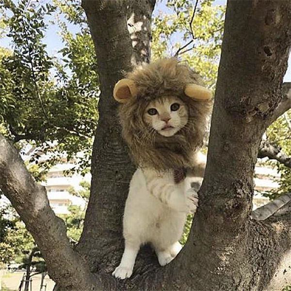 Costume Pet engraçado bonito Cosplay Lion Mane Wig Cap Hat para Cat Dog Clothes Xmas Dia das Bruxas vestido extravagante com orelhas Outono Inverno