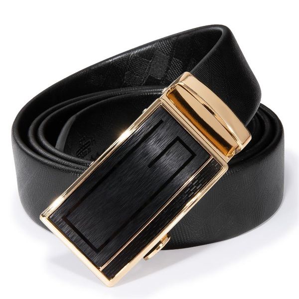 

hi-tie men's genuine leather belt automatic alloy buckle belt classic fashion luxury cow genuine leather for men straps, Black;brown