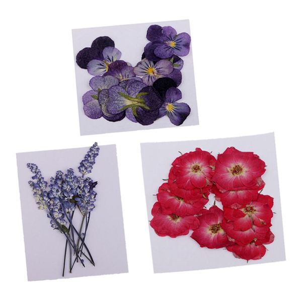 

32pcs сушеные прессованные цветы для diy scrapbooking ремесел