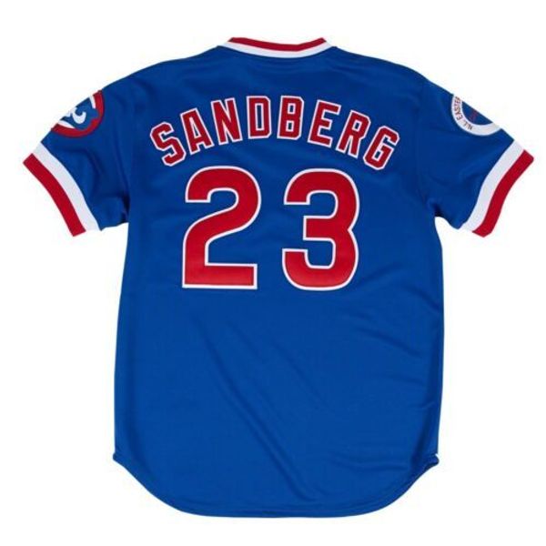 

дешевые ryne сандберг # 23 mitchell ness royal 1984 mens прошитой xs-6xl бейсбола трикотажных изделий, Gray