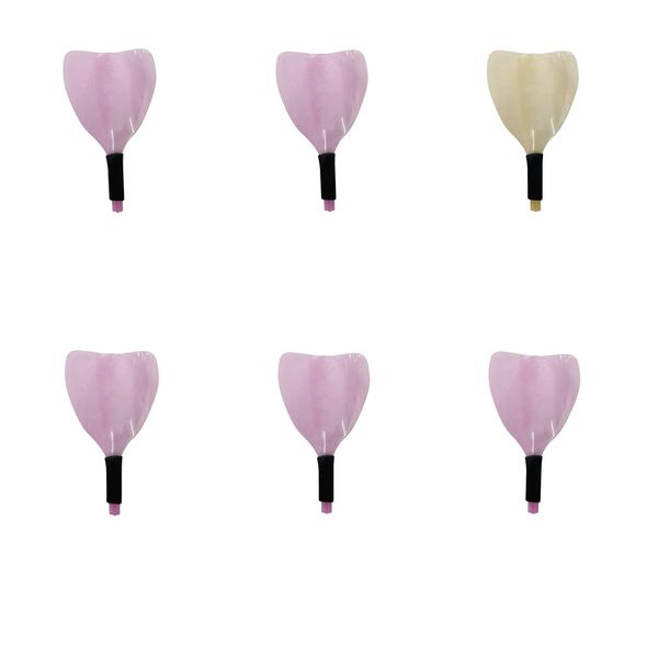 

pro парикмахерская салон face spray shield protect styling tools 6pack