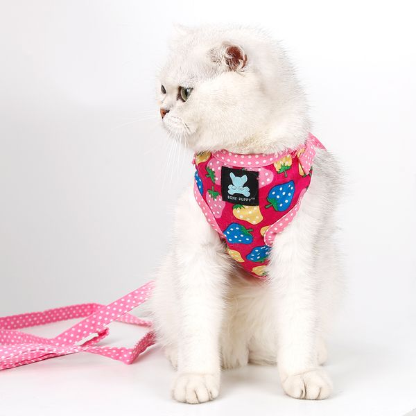 

factory new two sweet strawberry polka dot pet traction rope chest harness puppy cat chest back cover go out dog chain dog rope