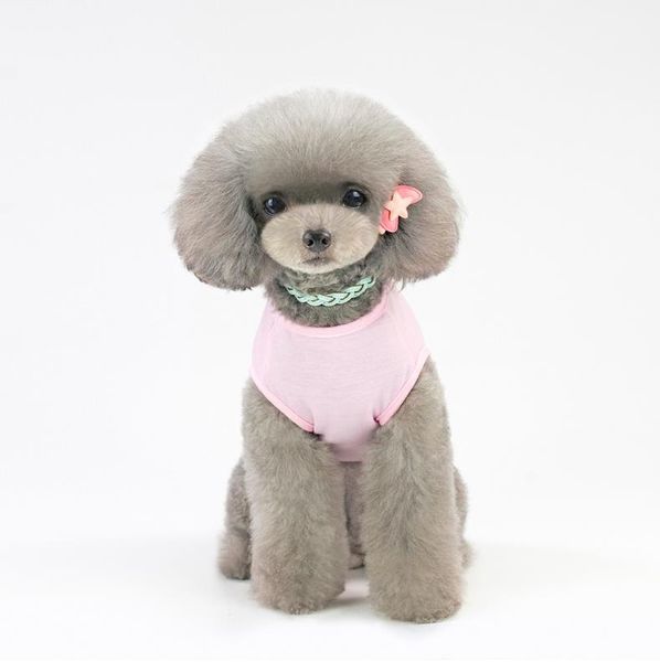 

2020 pet vest spring/summer dog cat clothes teddy bear breathable cartoon cotton pet vest