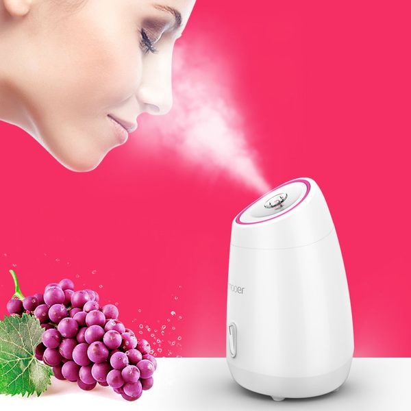 Fruto vegetal facial facial steamer doméstico spa beleza instrumento térmico nano spray água whitening face máquina de vapor cx200716