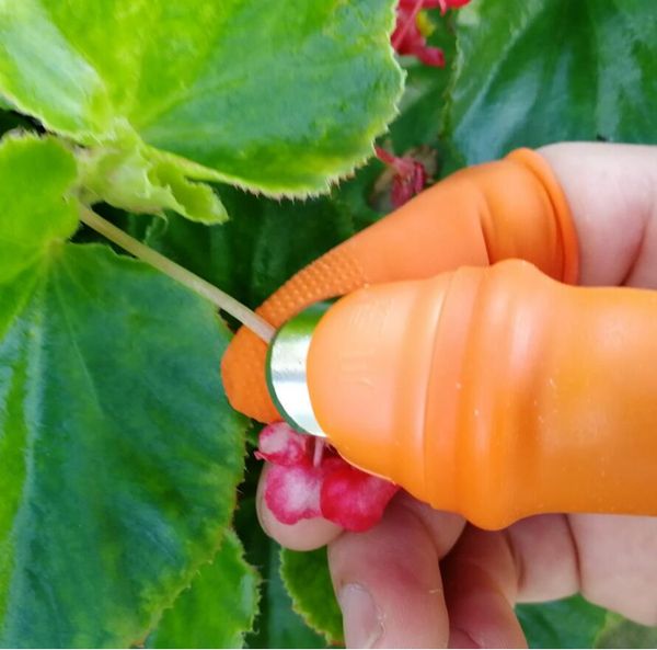 

thumb cutter vegetables tomato fruit picker separator finger tool sharp blade hand cutting tool for harvesting garden plant