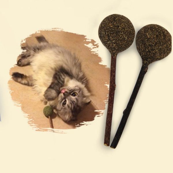 

pure natural catnip pet cat sticks cleaning tooth cat toys