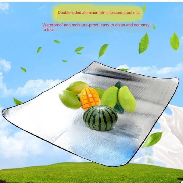

outdoor moisture-proof picnic double beach tent meal meal camping tent mat picnic travel mat crawling