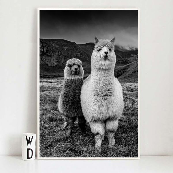 

baby животных альпака wall art холст печати прекрасные животные симпатичные холст картины детские плакат стена картинки для детей room decor