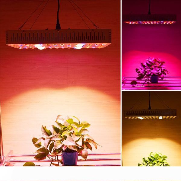 

growth lamp new 3000w cob indoor greenhouse plant growth lamp used for medicinal plants