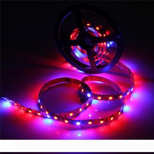 

LED Grow Lights DC12V Growing LED Strip 5050 SMD Non-waterproof IP20 Plant Growth Light for Greenhouse Hydroponic plant