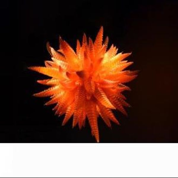 

new arrival orange color glass horn shape chandelier glass murano art lighting for house decoration