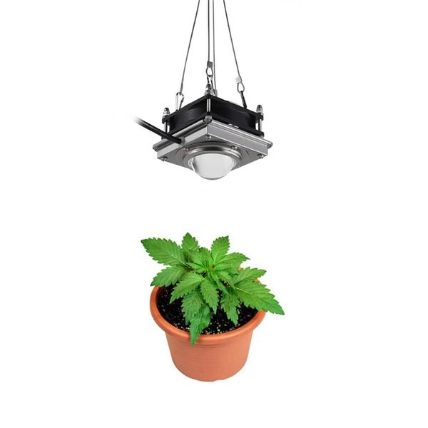 LED COB GROVE LUZES 200W 3000K 4000K DIY Kit Spectrum Para Plantas Internas Legumes Flores Estufa