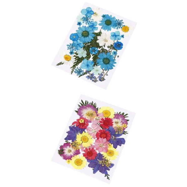 

2pack real press dried flowers leaves for epoxy resin art jewelry craft diy