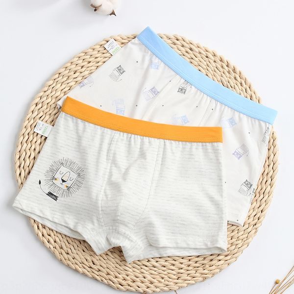 

baby bear underwear and shorts children's underwear men's modal boxer shorts home outdoor 3-12 years old, Camo