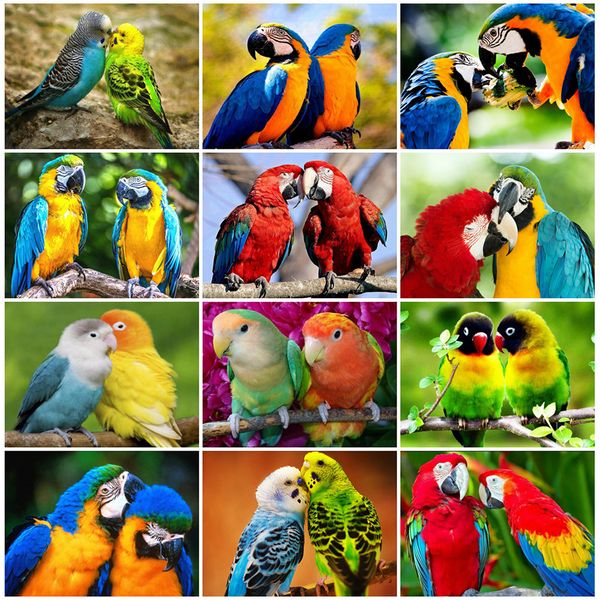 

huacan полного плацу алмазной картины 5d parrot ручной алмазная вышивка птица животное домашнего украшение