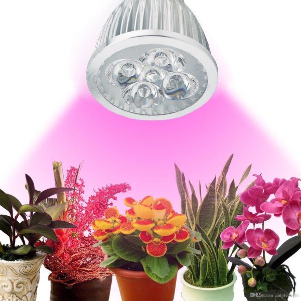 

led plant grow light 5w e27 grow lamp red blue for indoor flower plant hydroponics system