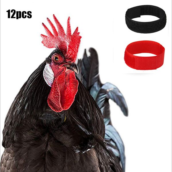 

12pieces chicken collar anti crow rooster collar for poultry chicken duck