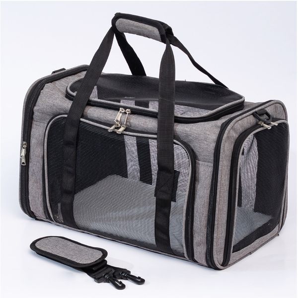 

cat bag out portable dog backpack pet bag teddy dog bag bear travel backpack dog car pet