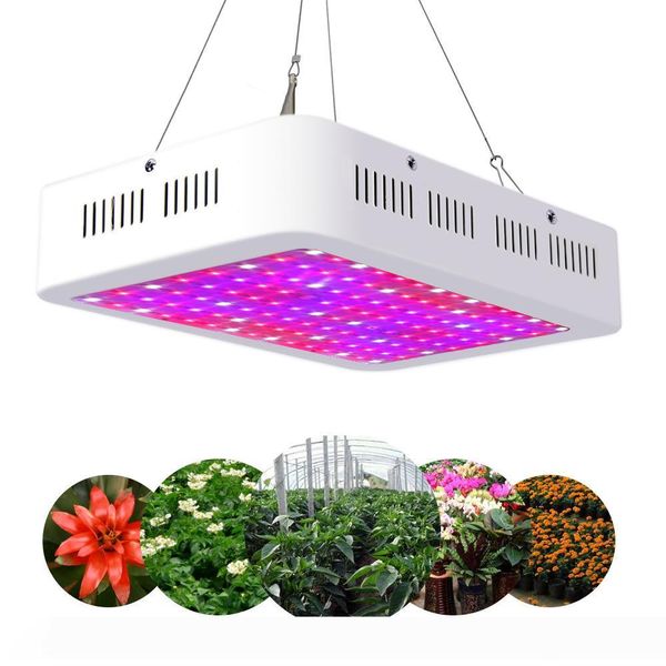 

led grow lights recommeded high cost-effective double chips full spectrum led plants grow light 300w 600w 800w 1000w 1200w 1500w 1800w 2000w