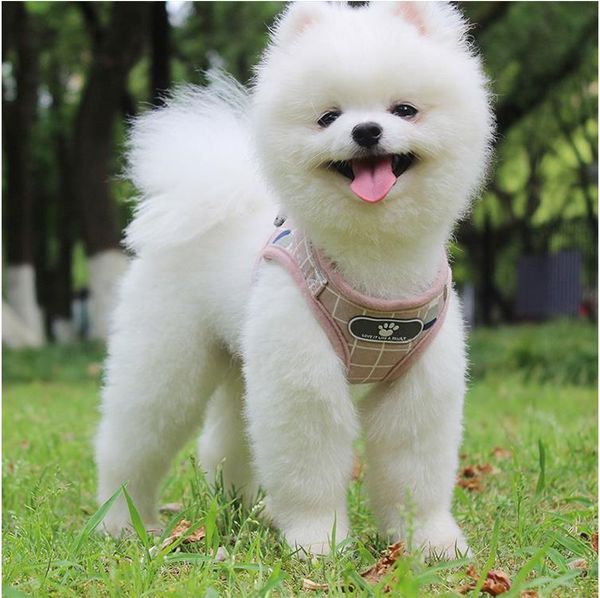 

upgraded pet reflective chest strap breathable seat belt pet supplies vest type cat dog leather strap