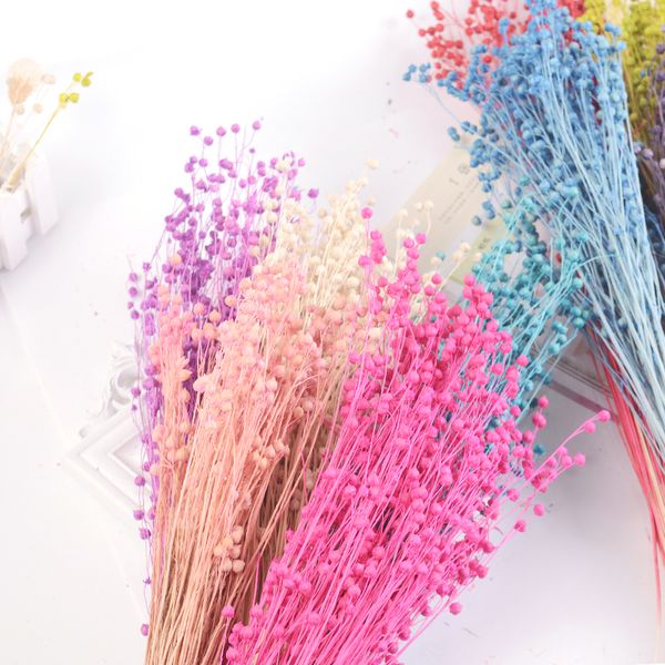 

Marchwind 60g/ Bunch Artificial Mermaid Flowers Dried Flower Bouquet Handmade Wedding Christmas Decor DIY Wreath Sheep Handicraft Flower