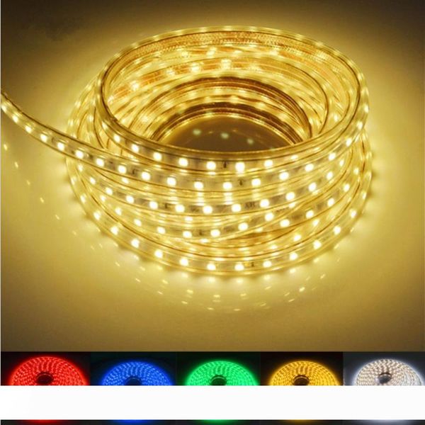 

100m 110V 220V Led Strips smd 5050 LED rope light IP67 Flex LED Strip lights Outdoor Lighting string Disco Bar Pub Christmas Party